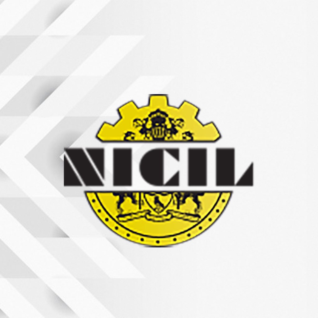 NICIL warns about “fake brokers” selling State assets