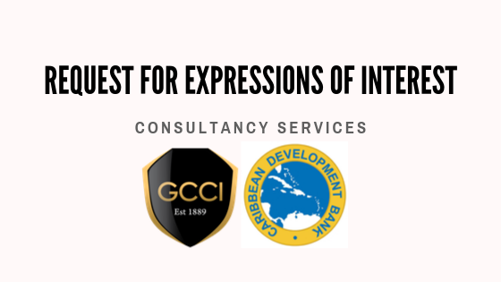 REQUEST FOR EXPRESSIONS OF INTEREST: CONSULTANCY SERVICES