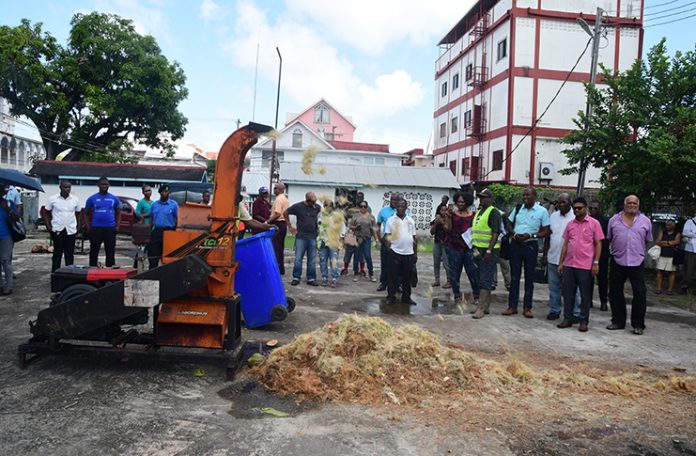 CARDI looks to tackle coconut waste in City