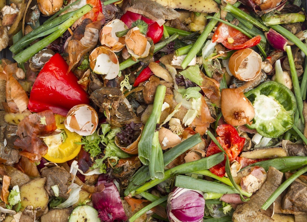 Guyana begins project to create business opportunities from organic waste