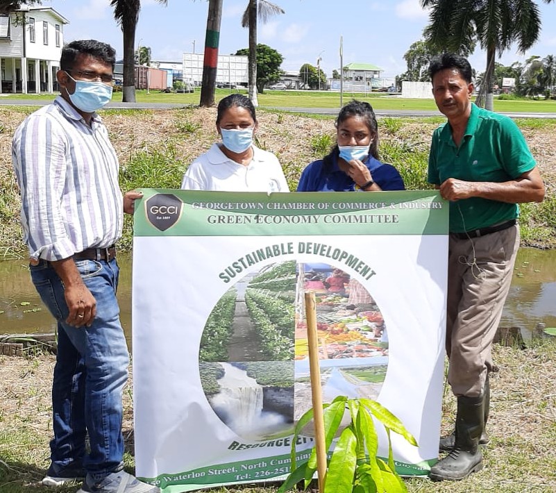 GCCI Commemorates Agriculture Month with its “Plant A Tree” Initiative