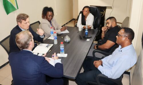 GCCI meets with ION and ILO representatives
