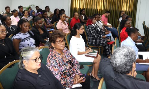 GCCI participates in consultation on amendments to Sexual Offenses Act